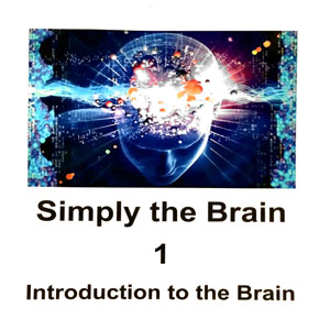 2018/09/28   -   Simply the Brain    -   Introduction to the Brain